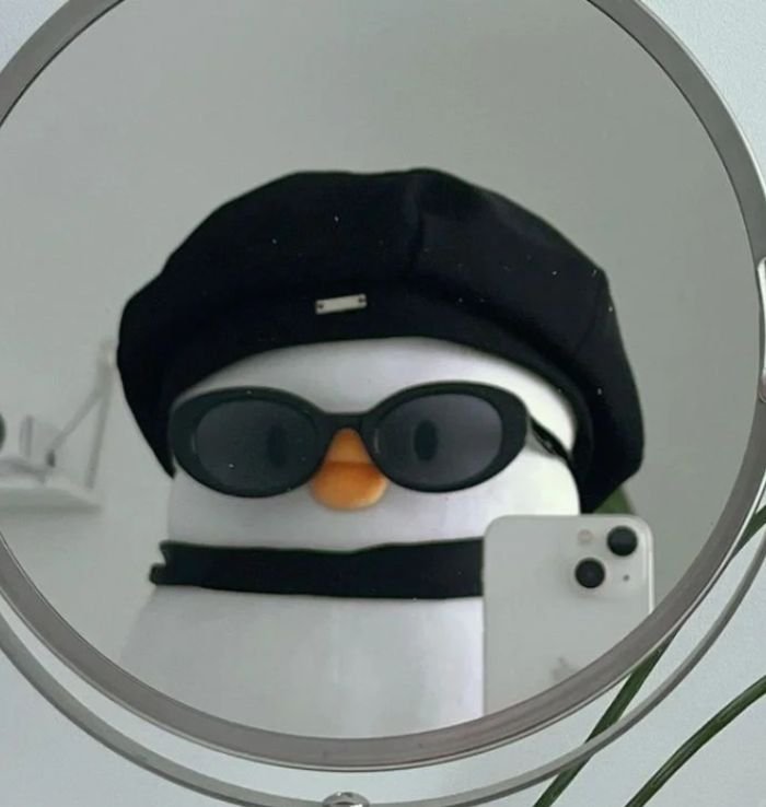 aesthetic pfp cute profile pictures with light color palette