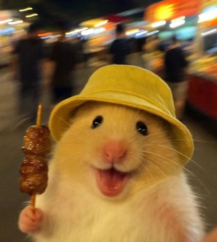 avatar illustration turned into cute discord pfp