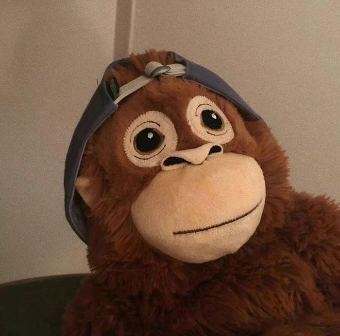 avatar monkey pfp with cute cartoon vibe