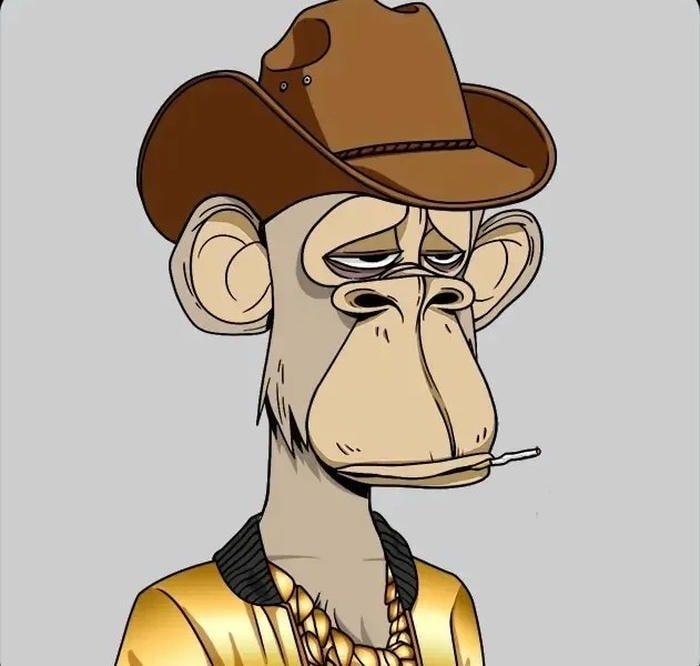 cartoon monkey pfp with animated feel