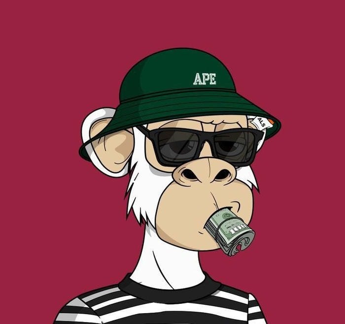 close up monkey pfp with gentle sunlight