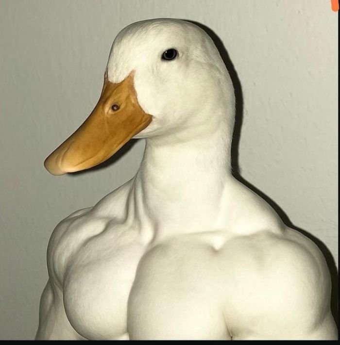 corny pfp featuring an awkwardly funny animal face