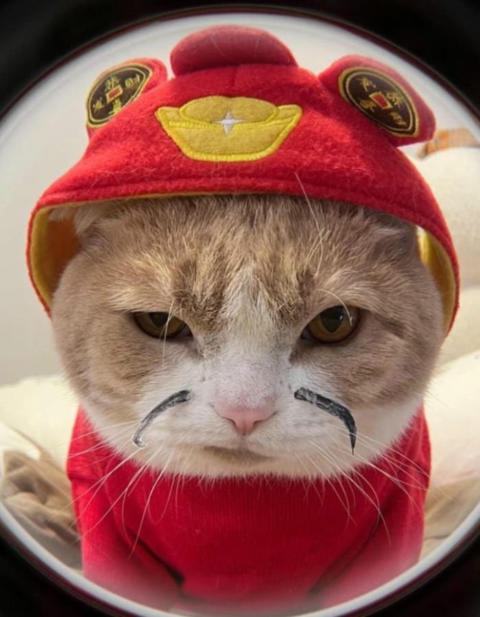 corny pfp that feels intentionally dumb and hilarious