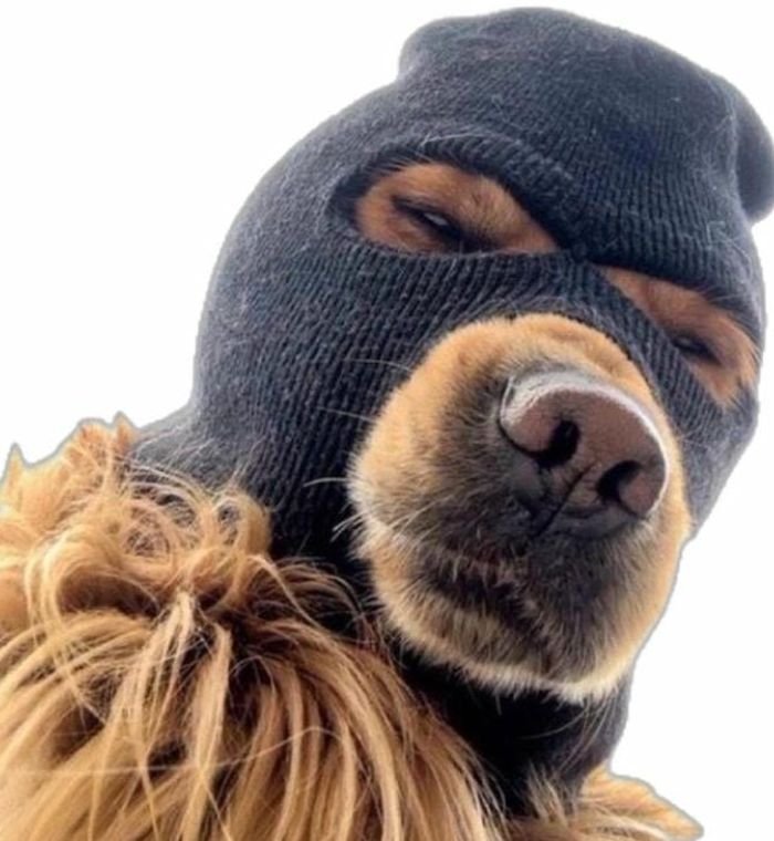 corny pfp using absurd faces to grab instant attention