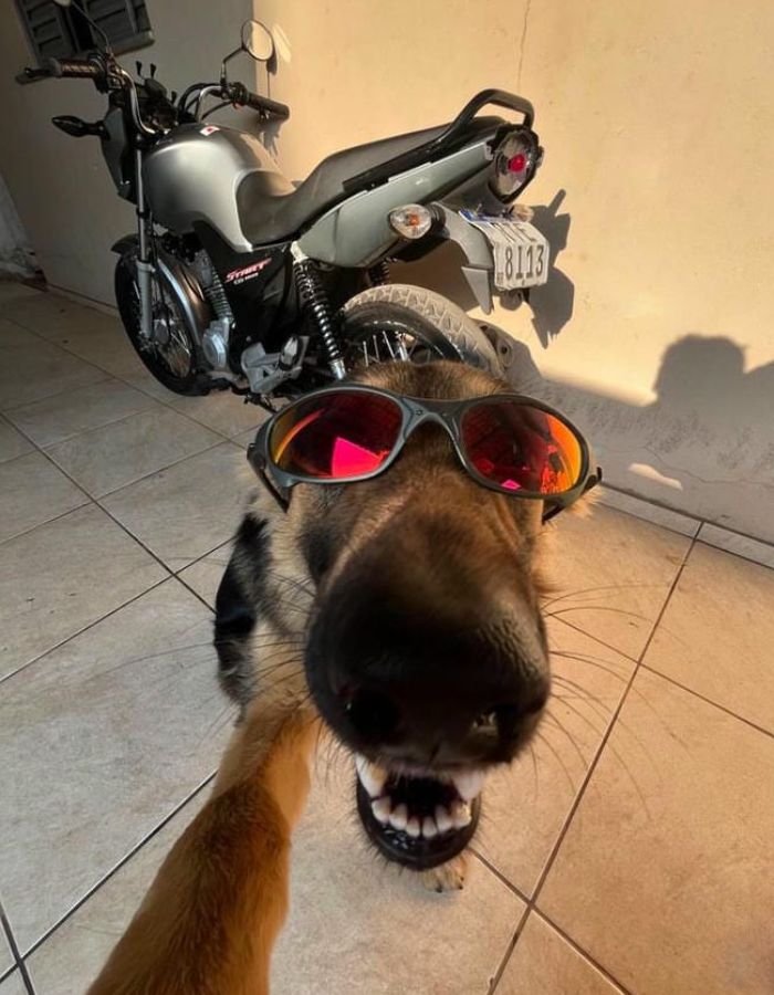 corny pfp with exaggerated expressions and goofy charm