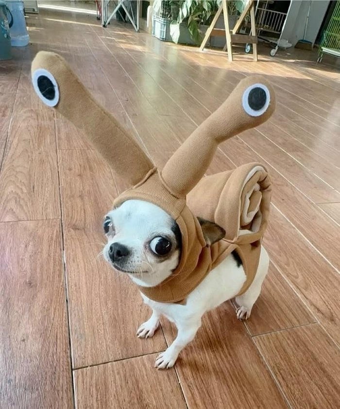 cringe pfp capturing uncomfortable meme energy