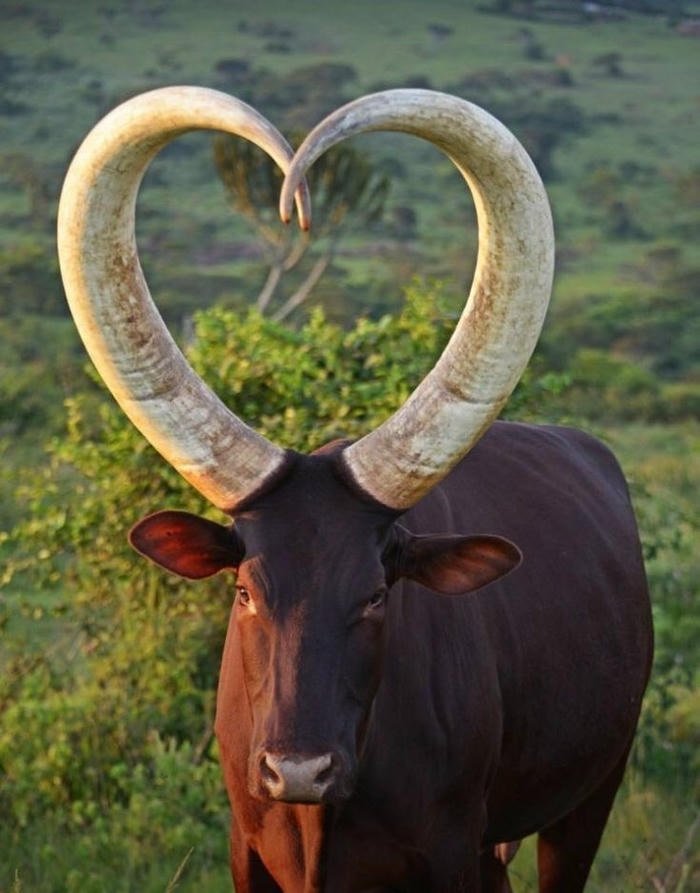 cringe pfp featuring ironic over-the-top expression