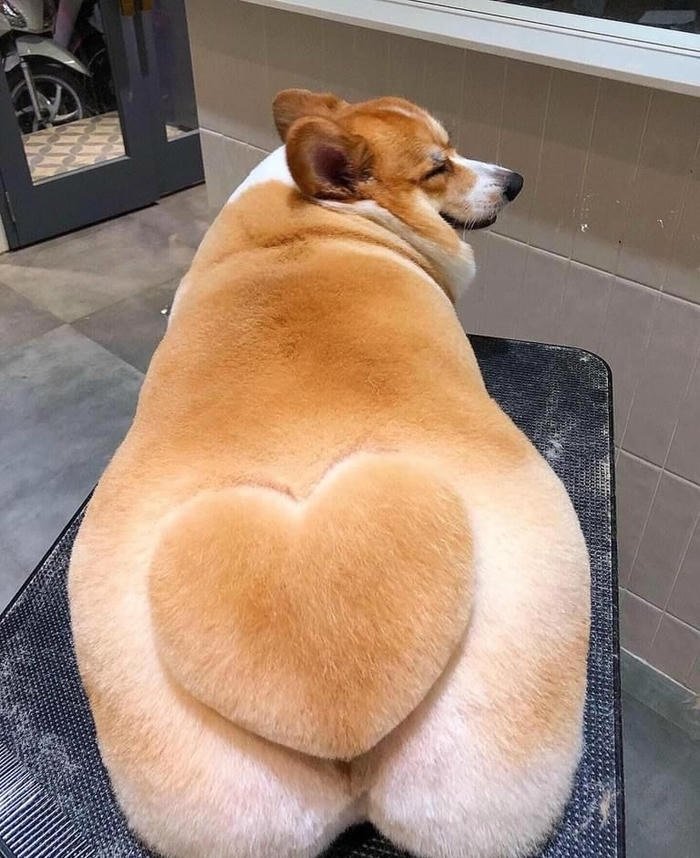 cringe pfp showing intentionally forced edgy vibe