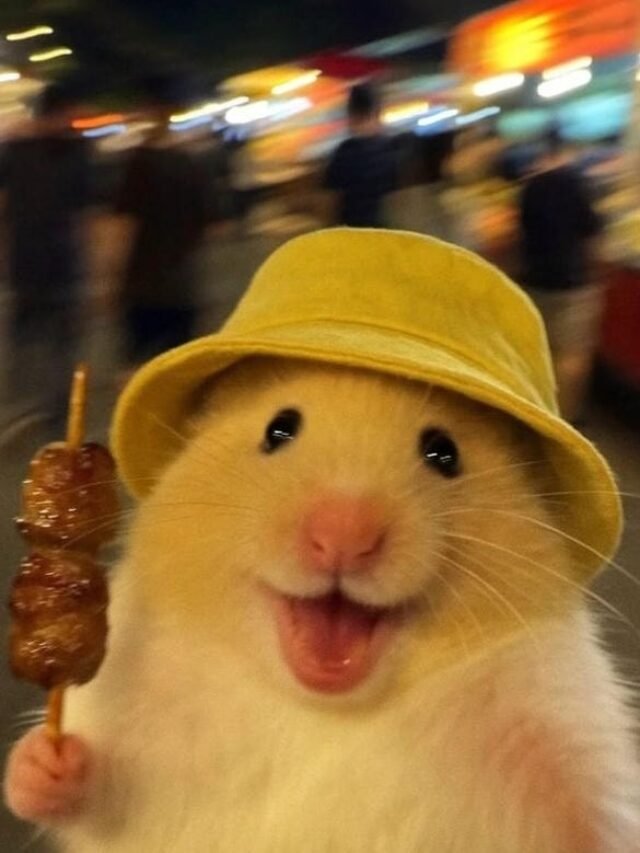 233+ Cute Discord PFP aesthetic anime & kawaii avatars