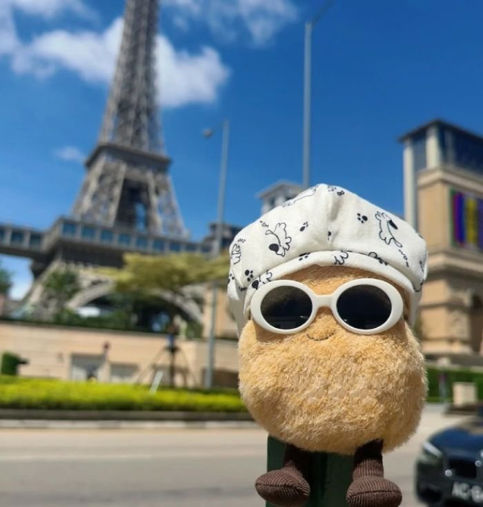 cute aesthetic icon aesthetic pfp cute profile pictures