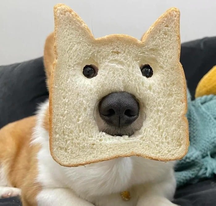 cute discord pfp designed with cozy vibes