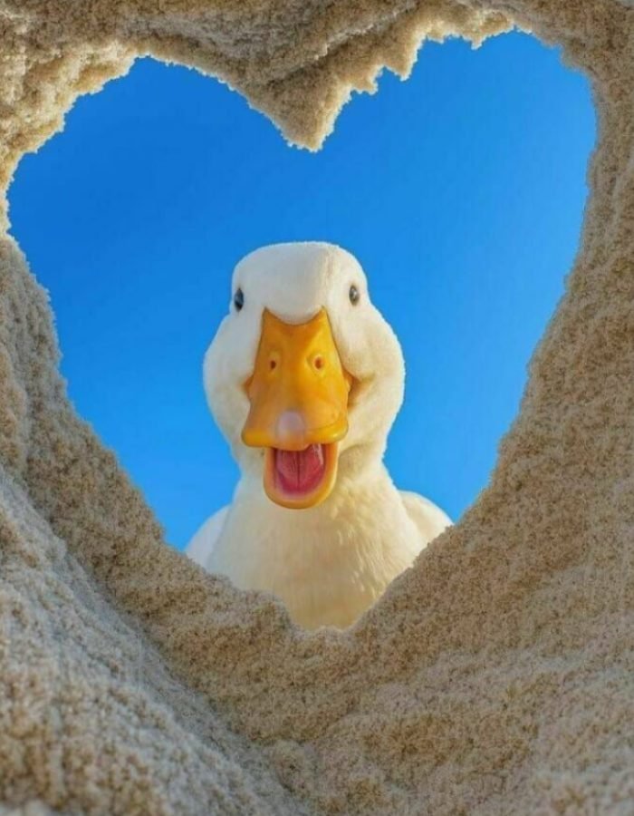 cute funny pfp featuring a lazy rabbit eating pizza on couch