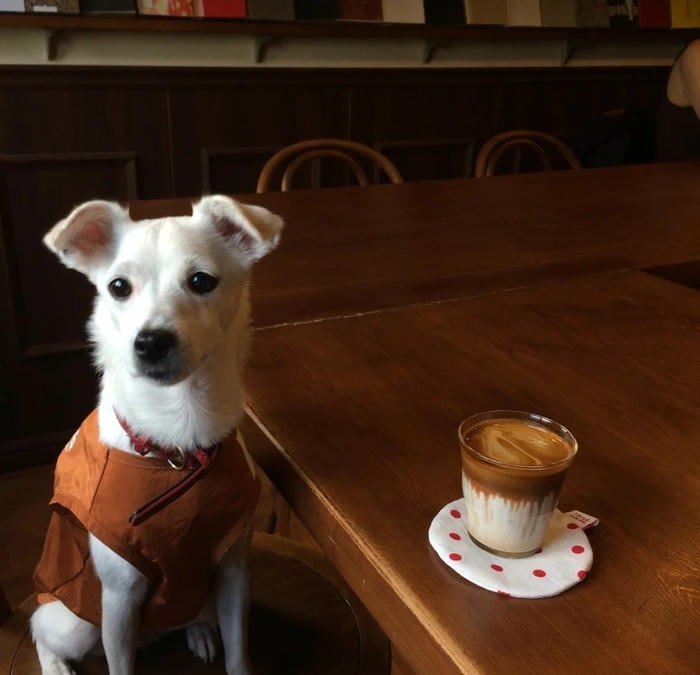 detailed latte art visible in coffee pfp design