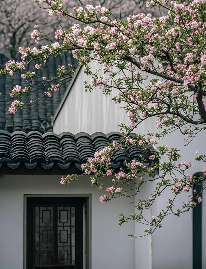 dreamy aesthetic vibe reflected in flower pfp