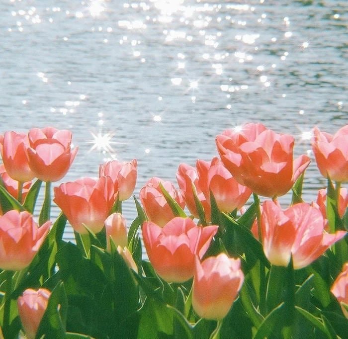 dreamy floral illustration avatar flower pfp