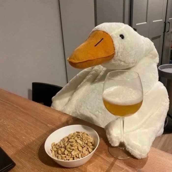 duck munching snacks perfectly represents cute funny pfp humor