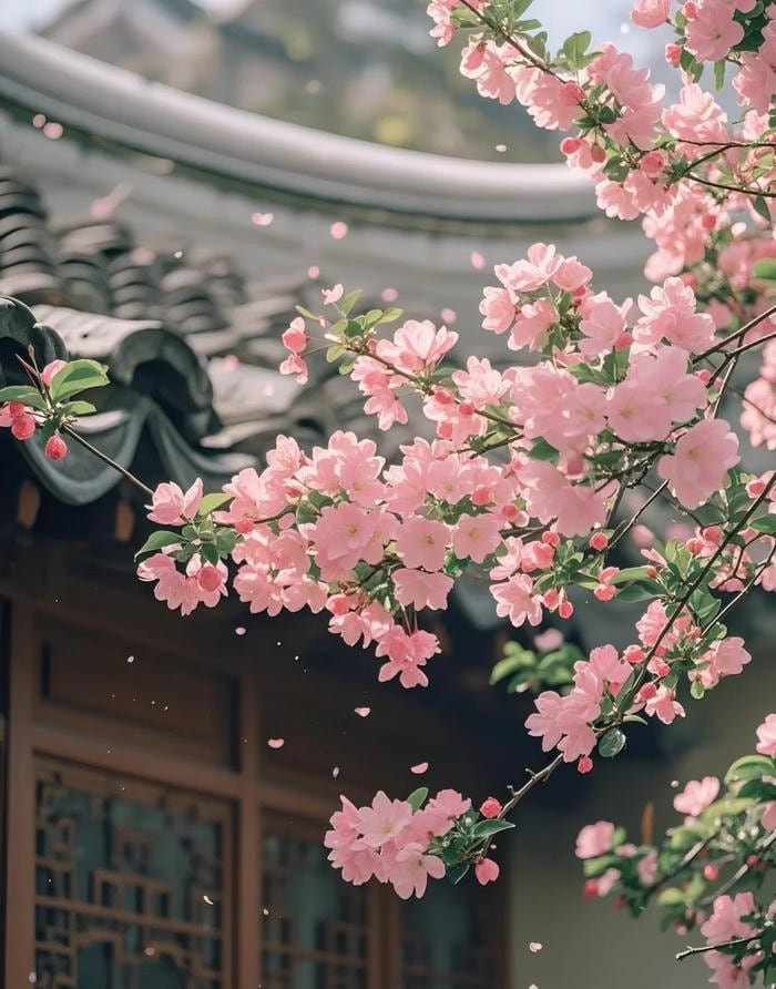 flower pfp with detailed botanical illustration art