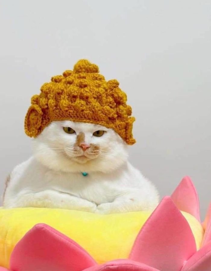 goofy internet icon created as a corny pfp