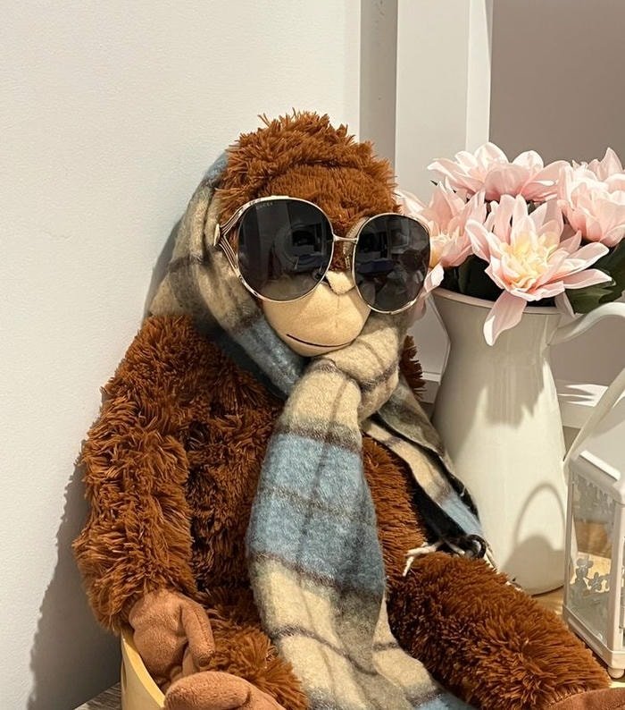 graphic monkey pfp in clean layout