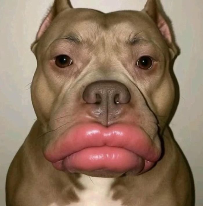 great choice for anyone loving ironic corny pfp