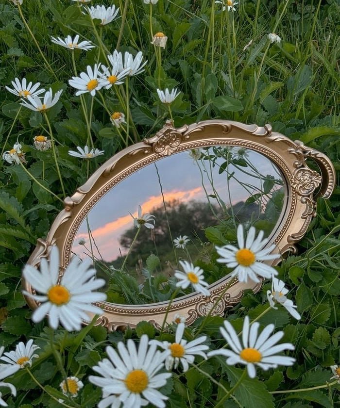 image flower pfp with soft pastel background tones