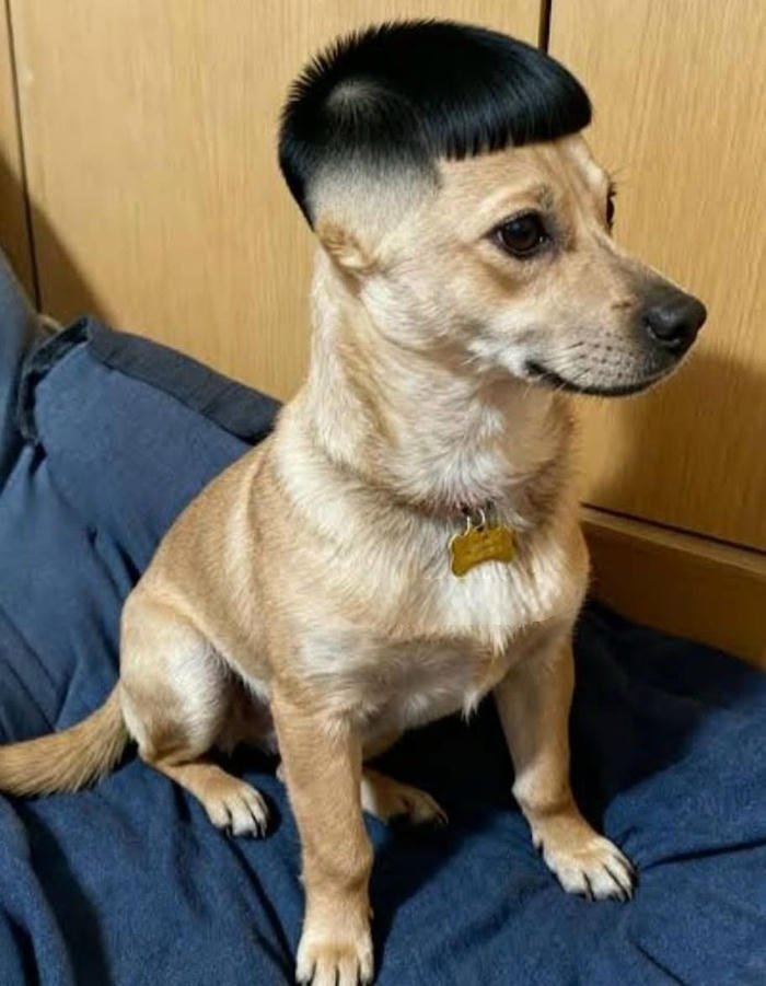 image styled as cringe pfp with exaggerated reaction face