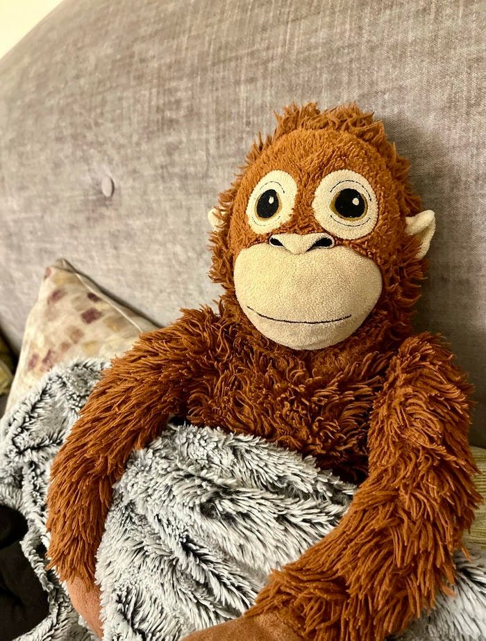 image sweet chibi character as cute discord pfp