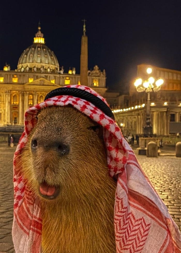 meme image reused as cringe pfp online