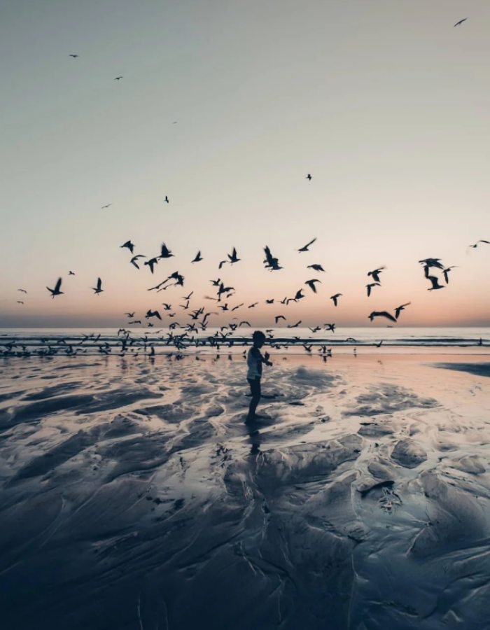 minimal profile style grey discord pfp aesthetic