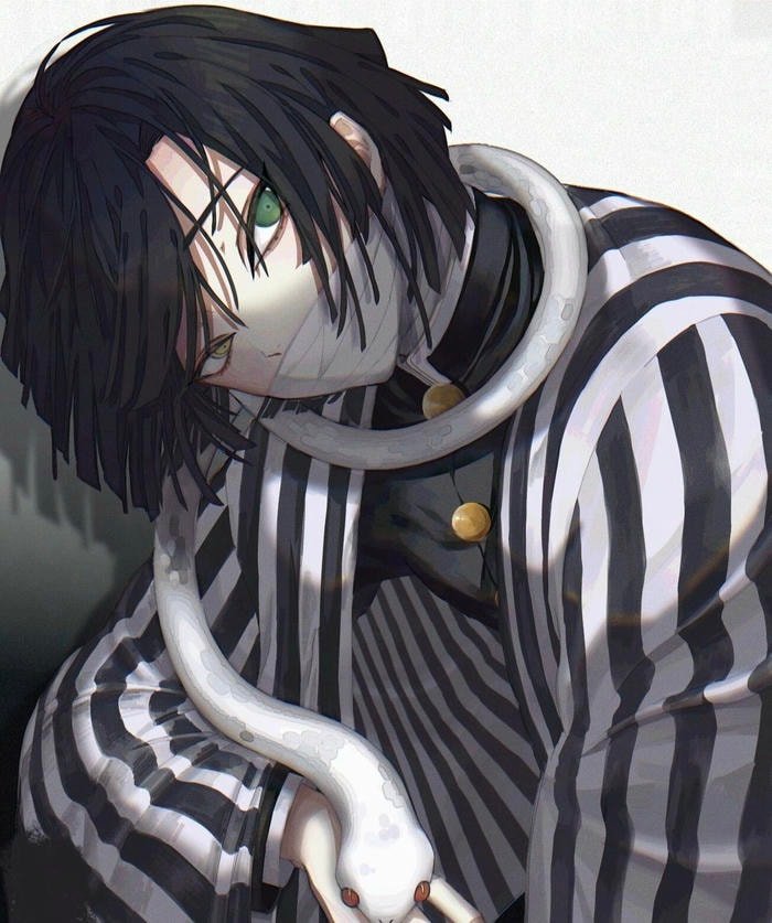 obanai pfp emphasizing discipline over emotion