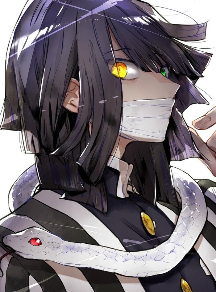 obanai pfp shaped by focus and discipline