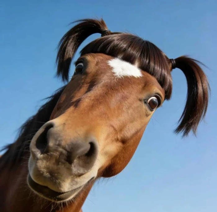 picture funniest pfp silly expression meme style