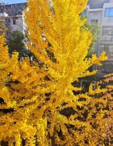 picture yellow discord pfp warm light aesthetic profile