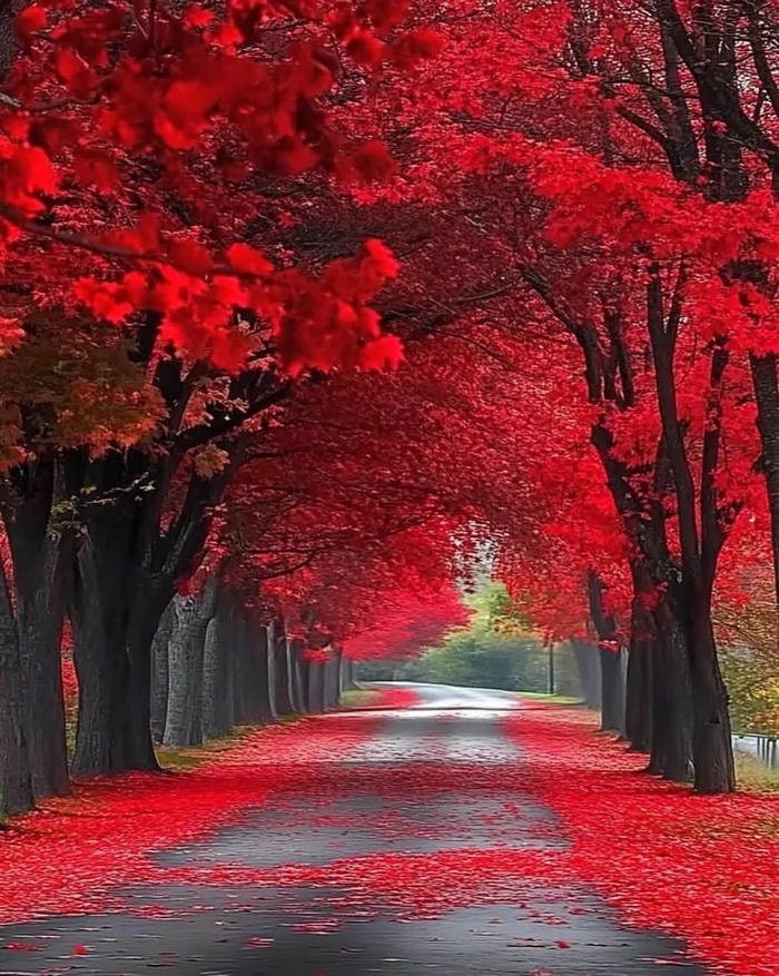 red discord pfp bold personality visual identity