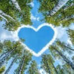 simple heart illustration icon heart pfp