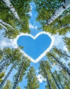 simple heart illustration icon heart pfp