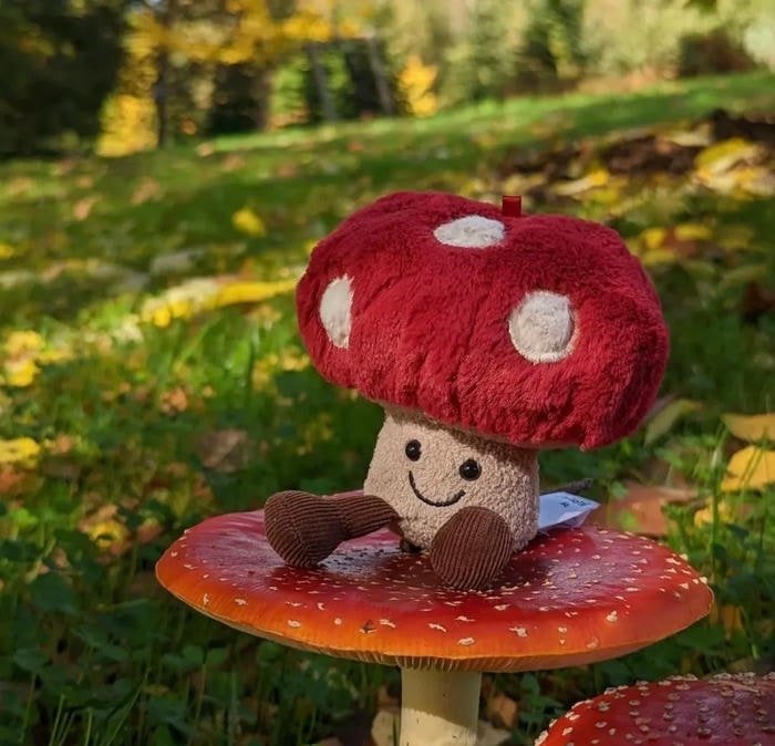 soft fairy vibe profile with mushroom pfp