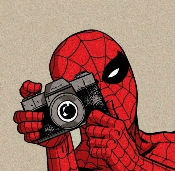 spider man cute charming cartoon avatar