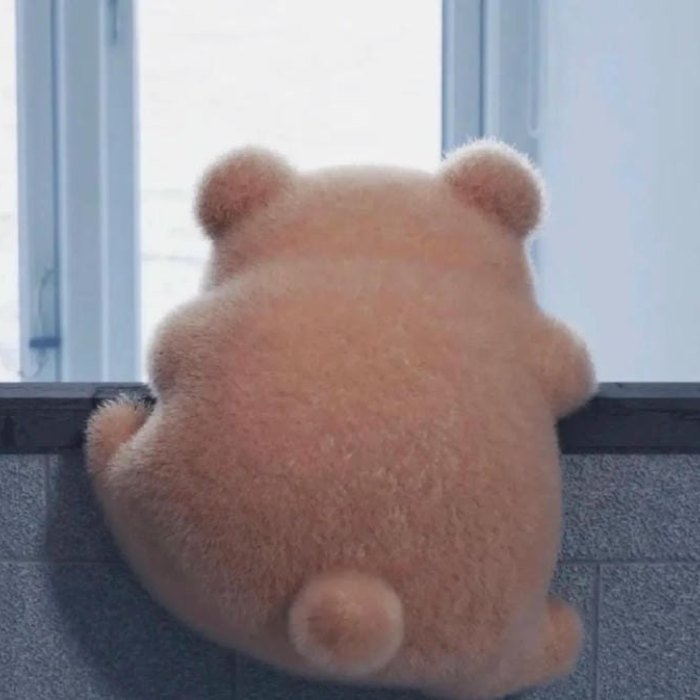 the soft bear back view surprisingly suits cute funny pfp style