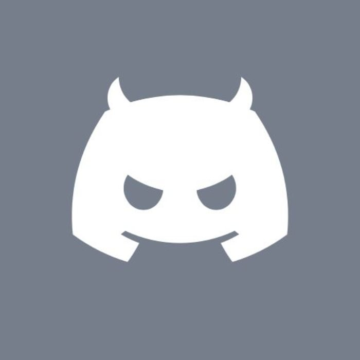 understated visual mood within a grey discord pfp