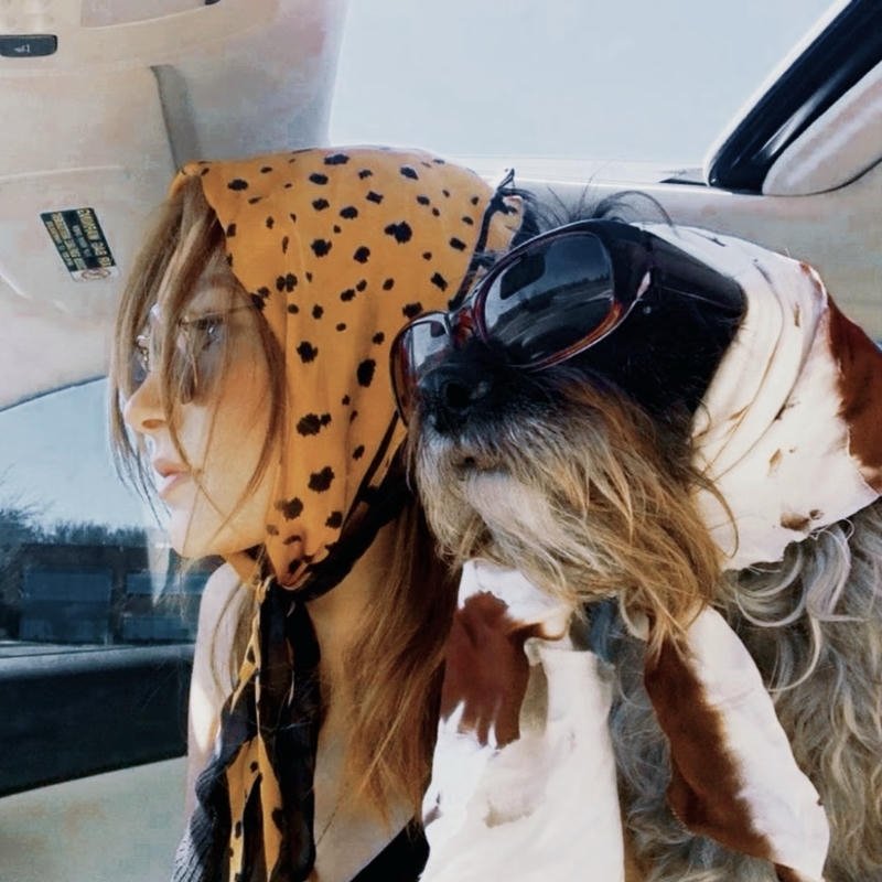 Analog era champion headshot forming retro pfp