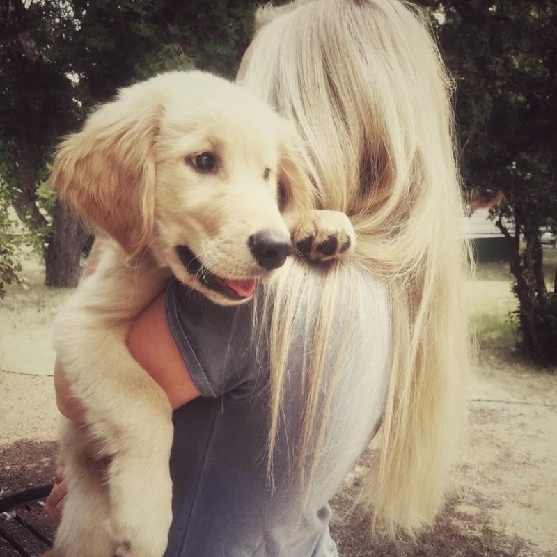 Antique gaming era headshot presented retro pfp