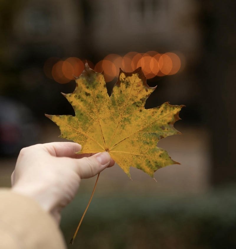 Autumn countryside sunset scenery styled fall aesthetic pfp background