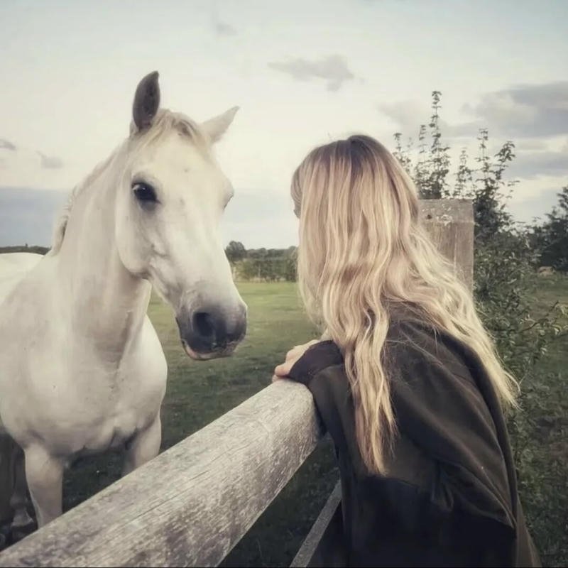 Classic digital guardian emblem forming retro pfp