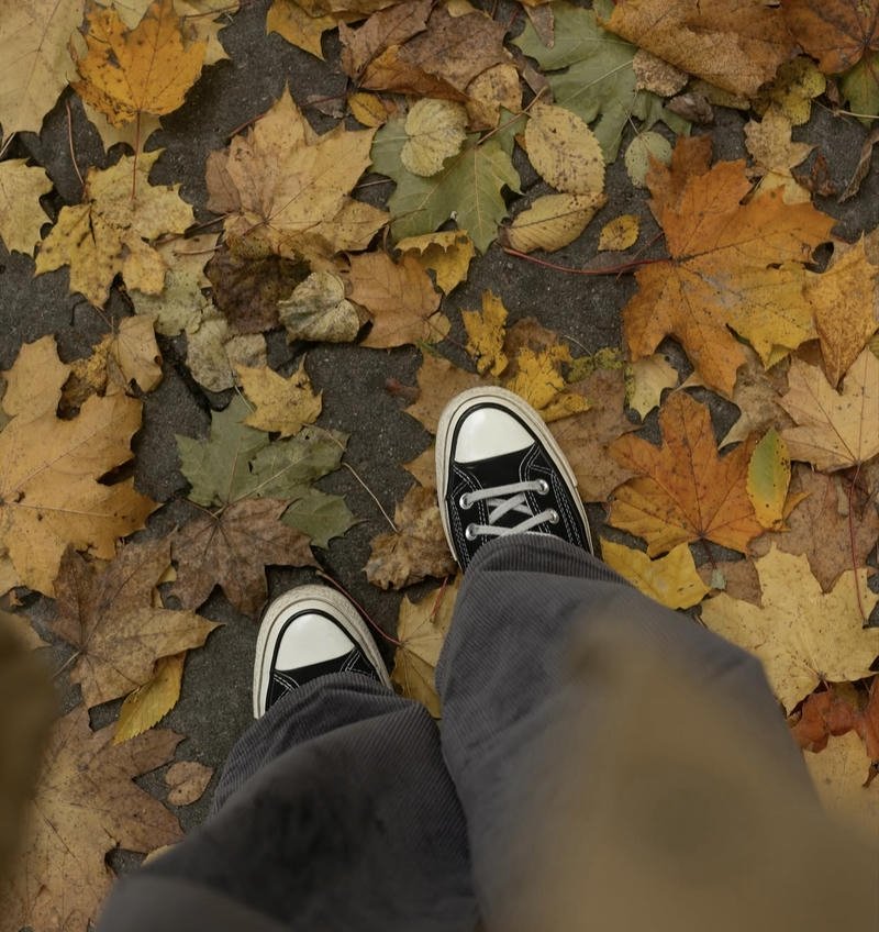 Cute scarf outfit portrait perfect fall aesthetic pfp avatar