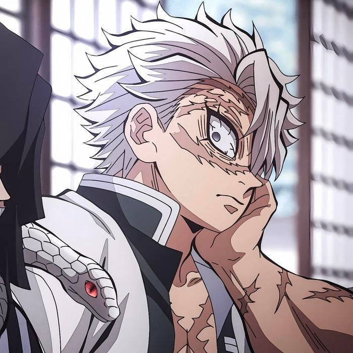 Dominating presence framed within high clarity Sanemi pfp