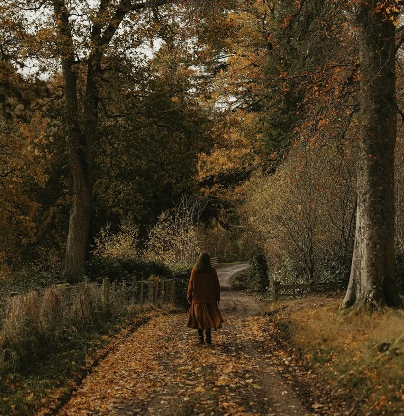 Dreamy autumn sunset background creating peaceful fall aesthetic pfp