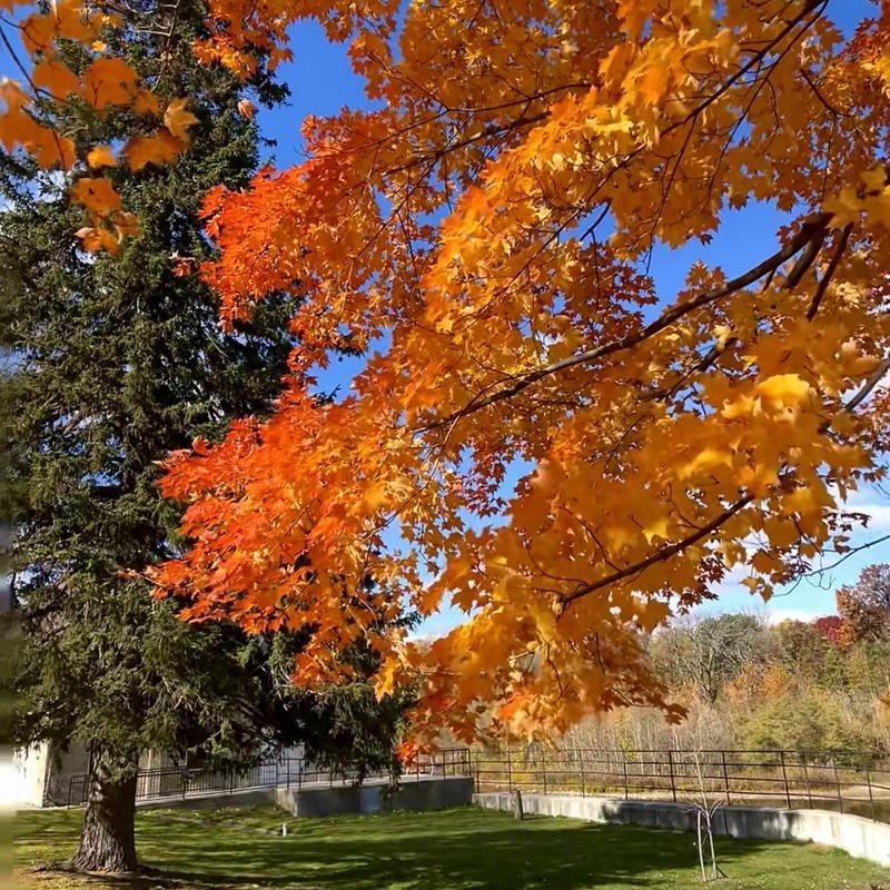 Dreamy fall park bench scenery aesthetic fall aesthetic pfp