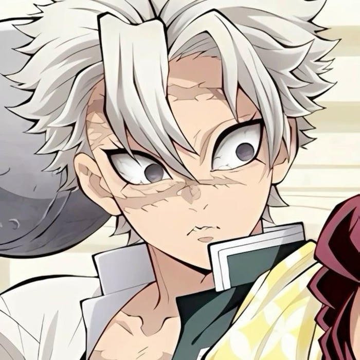 Feral combat readiness reflected in close up Sanemi pfp