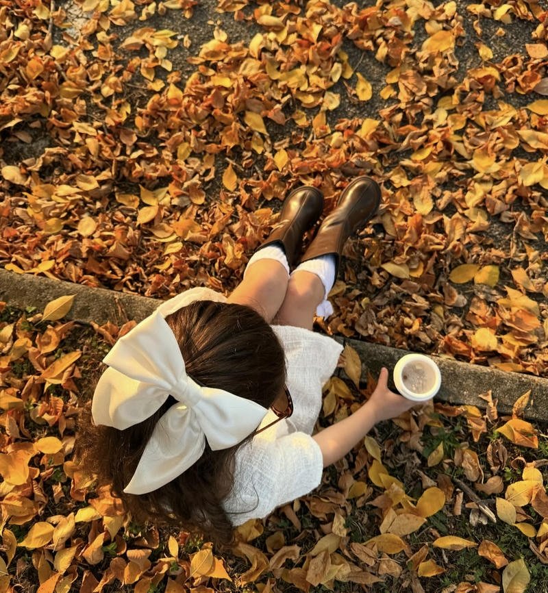 Golden maple leaves floating softly around fall aesthetic pfp portrait